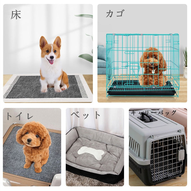 <a href="https://www.qoo10.jp/gmkt.inc/Search/brand.aspx?brandno=109151" target="_blank" class="title_brand" id="btn_brand" title="Honeycare">Honeycare</a>ペットシーツ 薄型 中厚型 厚型 おしっこシーツ トイレシートサイズ選択可 1ケースレギュラー480枚 ワイド 240枚スーパーワイド120枚 炭入り 犬猫 消臭 多頭飼い 1回使い捨て