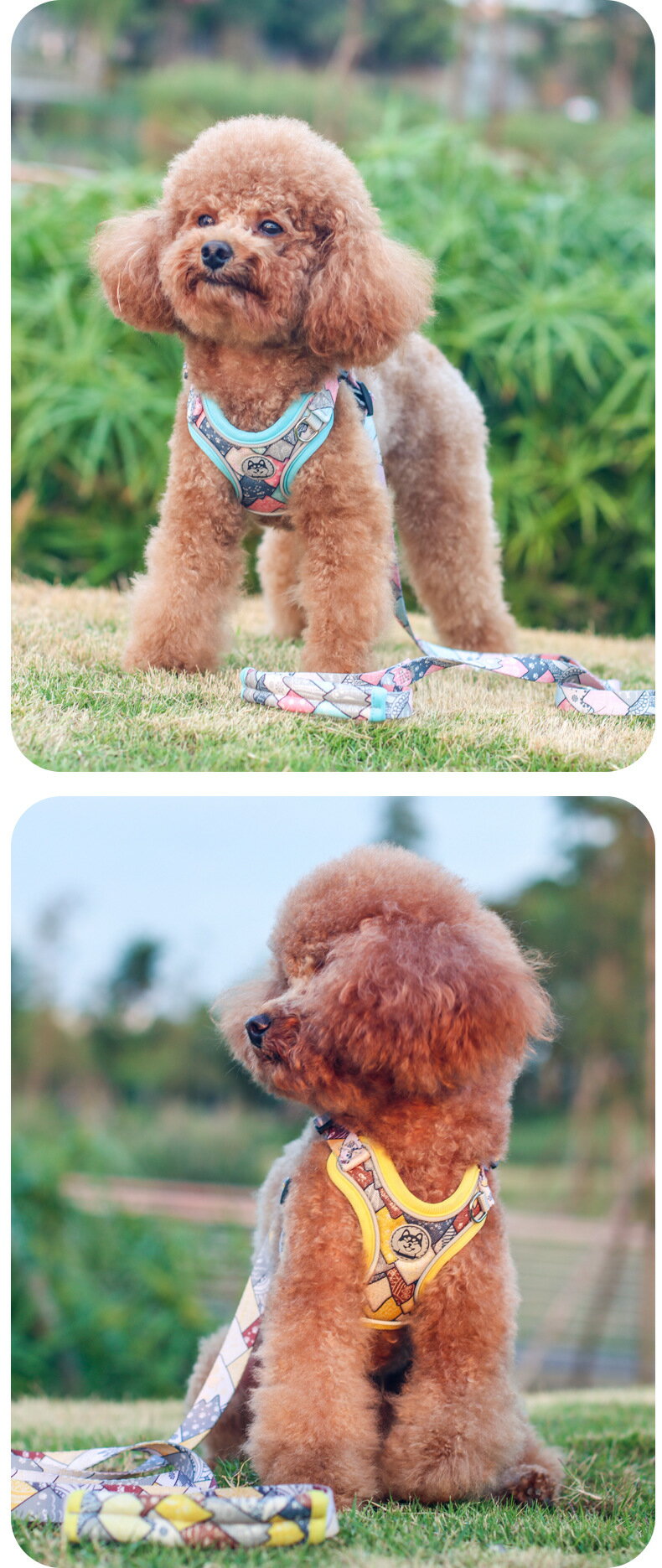 激安セール 新作 和風 ハーネス リード 小型犬 中型犬 身体に優しい 胴輪 簡単装着 反射材付き かわいい おしゃれ 通気性よく心地よい はぐれ防止 脱走防止 よくフィット スエード 合金 中小型犬