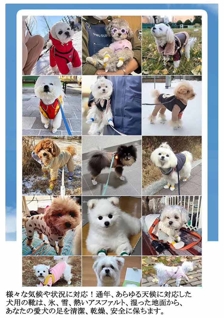 限定販売足元の汚れ防止 【80枚入】犬 ドッグブーツ 使い捨て 40足 【80枚入】犬 犬用靴下 犬用靴 肉球保護 靴 柔らかい 通気性 不織布 猫用 軽い フットカバー 犬靴下 ペット 滑り止め 靴