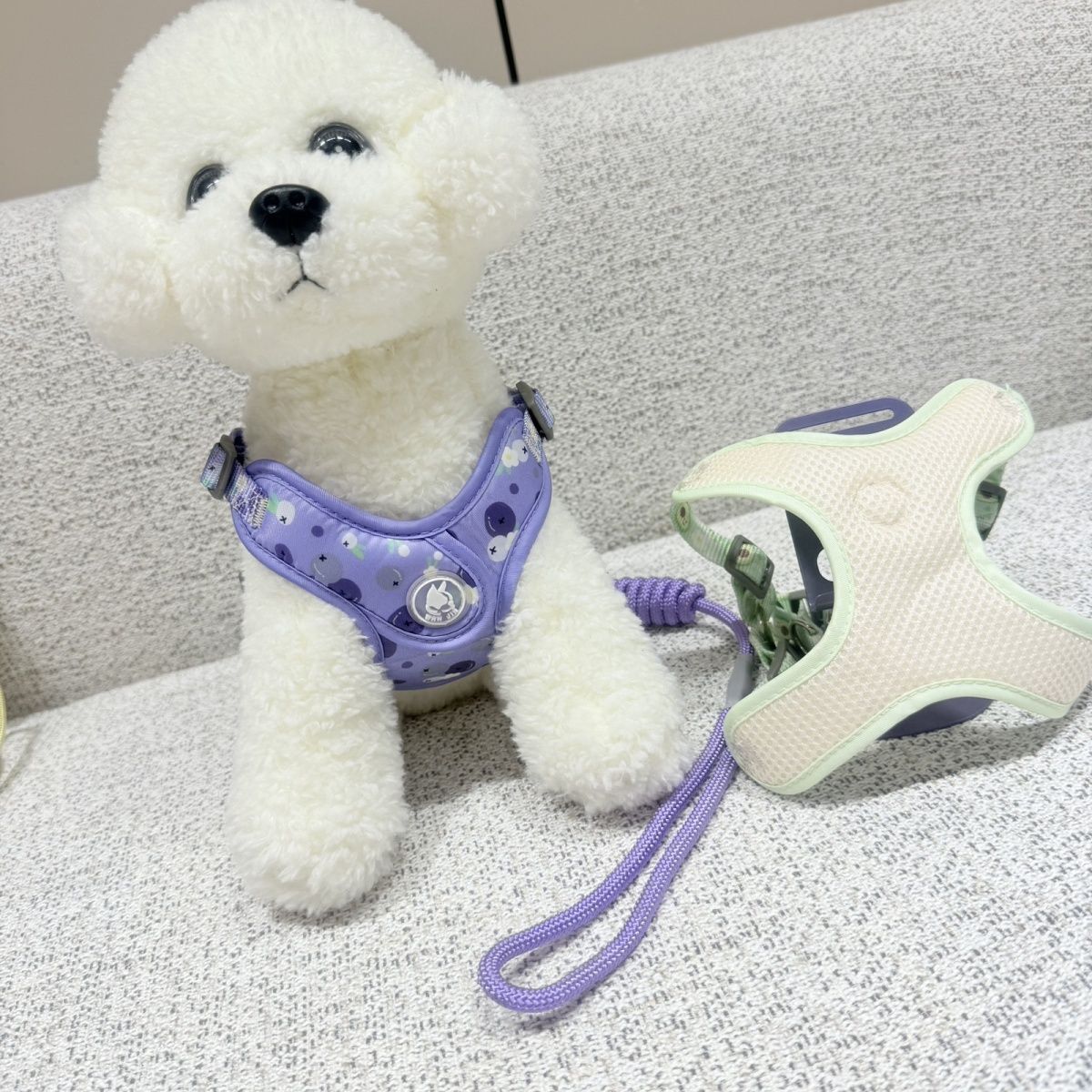 新型伸縮可能な通気性ペットの胸の牽引紐の小型犬は四季を通じて通用します