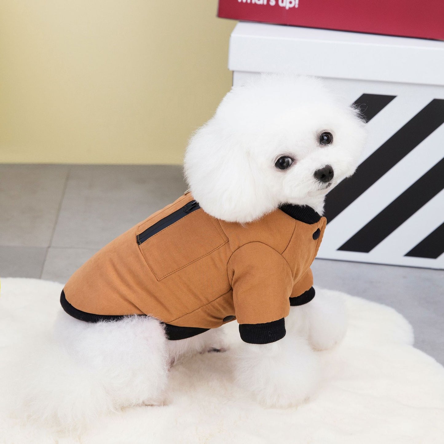 猫 犬 洋服 犬服 ペット服 大中小型犬 ペット用品 犬/猫用 犬の服 ペットウエア 小型犬 中型犬 通気 可愛い ドッグウェア トレーナー 犬 服 ワンピース サロペット ビションフリーゼ 犬猫服