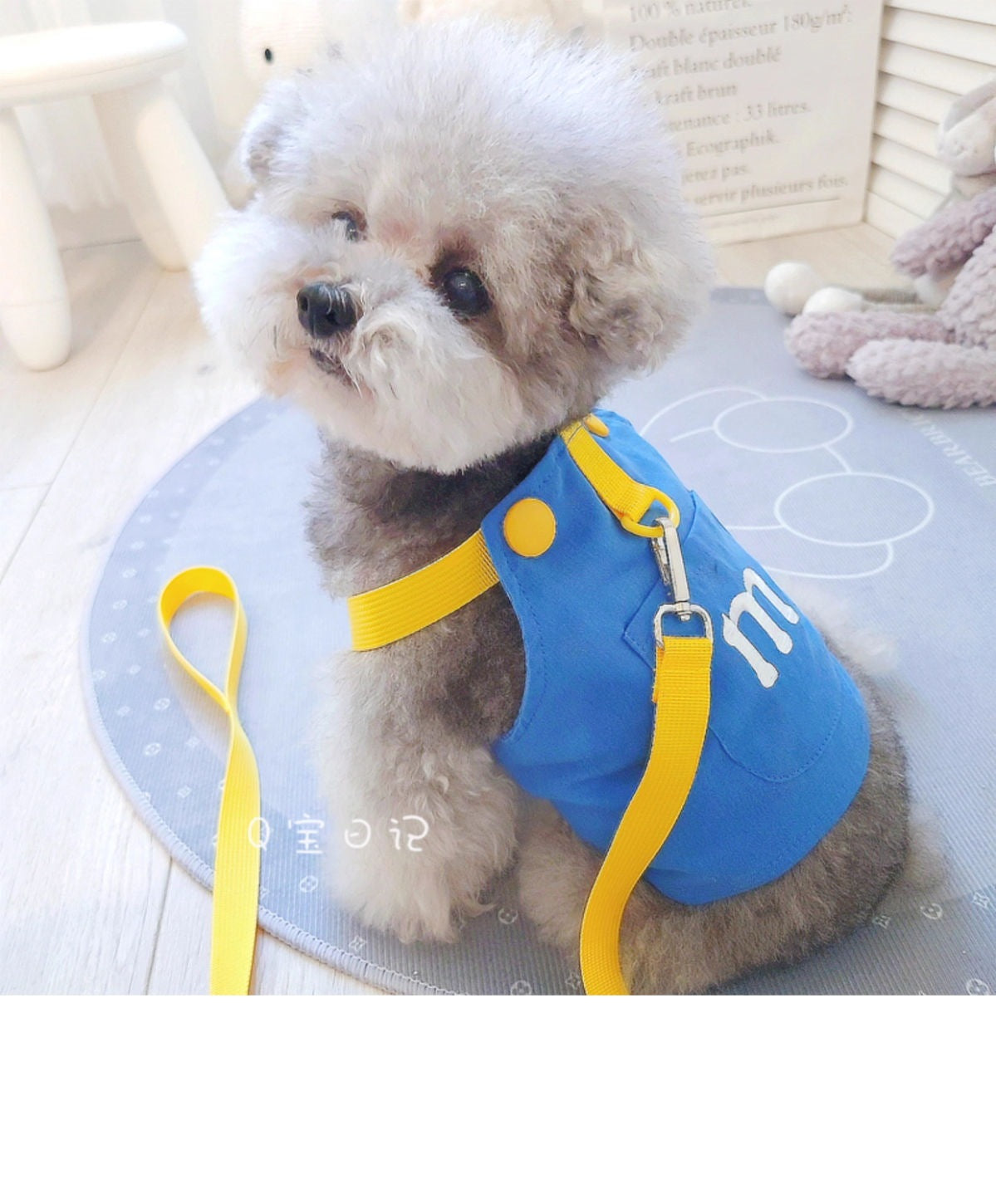 ペットの猫の小型犬のテディの犬の胸のストラップの牽引ロープのベスト式のドッグランの犬のひものかっこいいかわいい衝突色 メガ割ワンピースパンツトートバッグ