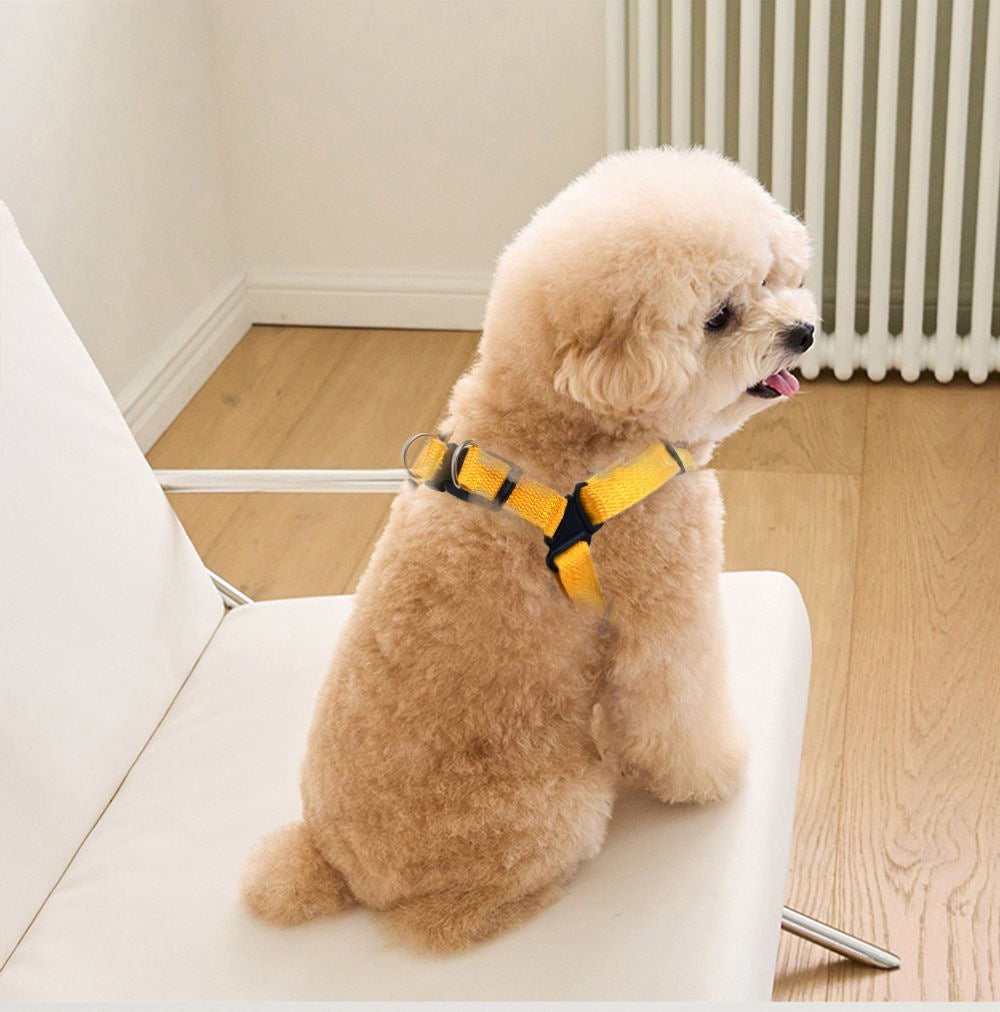 ベストかわいいペットを連れて外出します メガ割ワンピースパンツトートバッグ