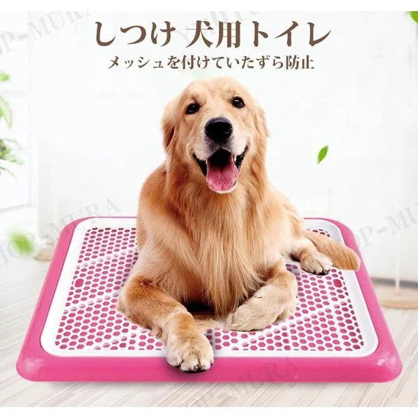 しつけ 犬用トイレ ペット トイレ トレーニングトイレ 小型犬 室内犬 犬用 イヌ ペット用品 しつ