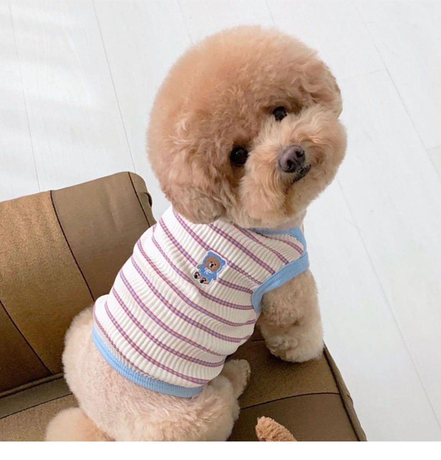 春夏新作 犬服 ペット服 犬 洋服 ペット 犬用品 小中型犬 夏薄型ペットベスト猫小型子犬犬服夏