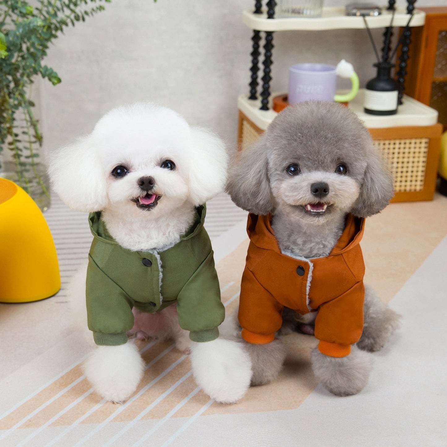 人気犬の服ペットの服小型犬猫は涼しい風に代わって秋と冬の暖かい快適さを着ることができる二本足の綿のジャケット