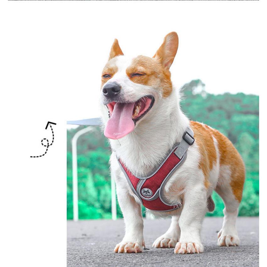 丈夫 ハーネス 大型犬 ハーネスリードセット犬用 小型犬 リフレクター付き 通気性 頑丈 2点 かっこいい 反射素材 犬 負担軽減 サイズ調整 衝撃緩和 中型犬
