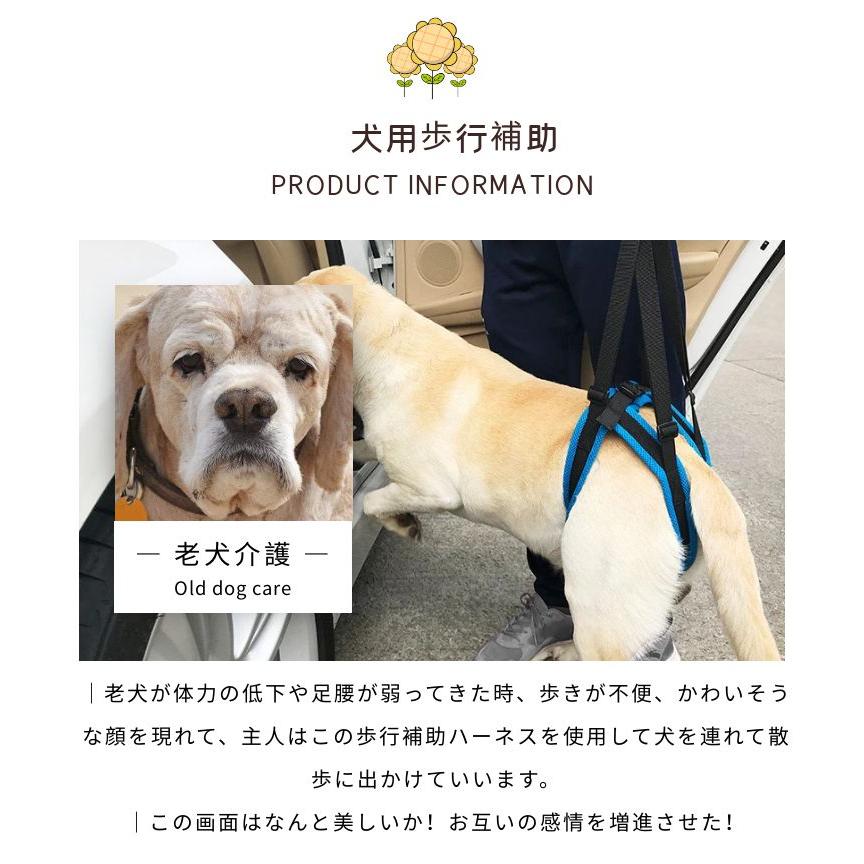 新商品プロモーション,数量限定 犬用歩行補助 犬の介護用品ハーネス 足腰の弱くなった老犬に 障害犬 欠陥犬 介護 散歩用 登山用 運動用 後足用 骨折 術後 リハビリ 関節 サポ犬用歩行補助 犬の