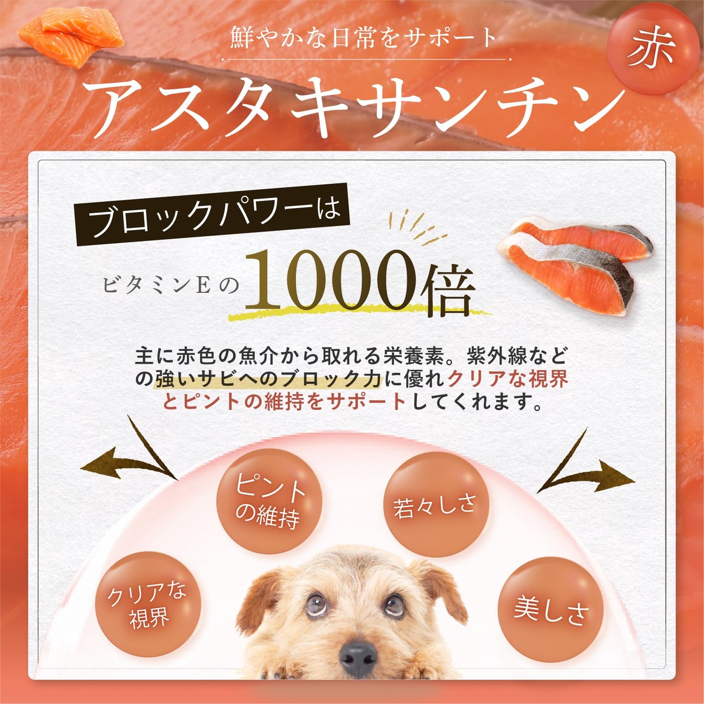 犬 サプリ シニア犬 目 瞳 頭 関節 獣医師大絶賛 国産 無添加 プロテオグリカン ルテイン フェルラ 酸 60粒