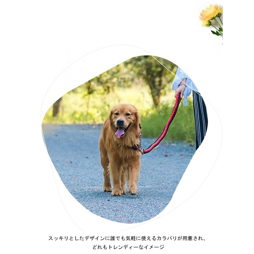 送 料 無 料!犬用 首輪 リード 2点セット 牽引ロープ ペット用品 大型犬 中型犬 牽引縄 セットアップ お洒落 ドッグウェア ハーネス 切り替え