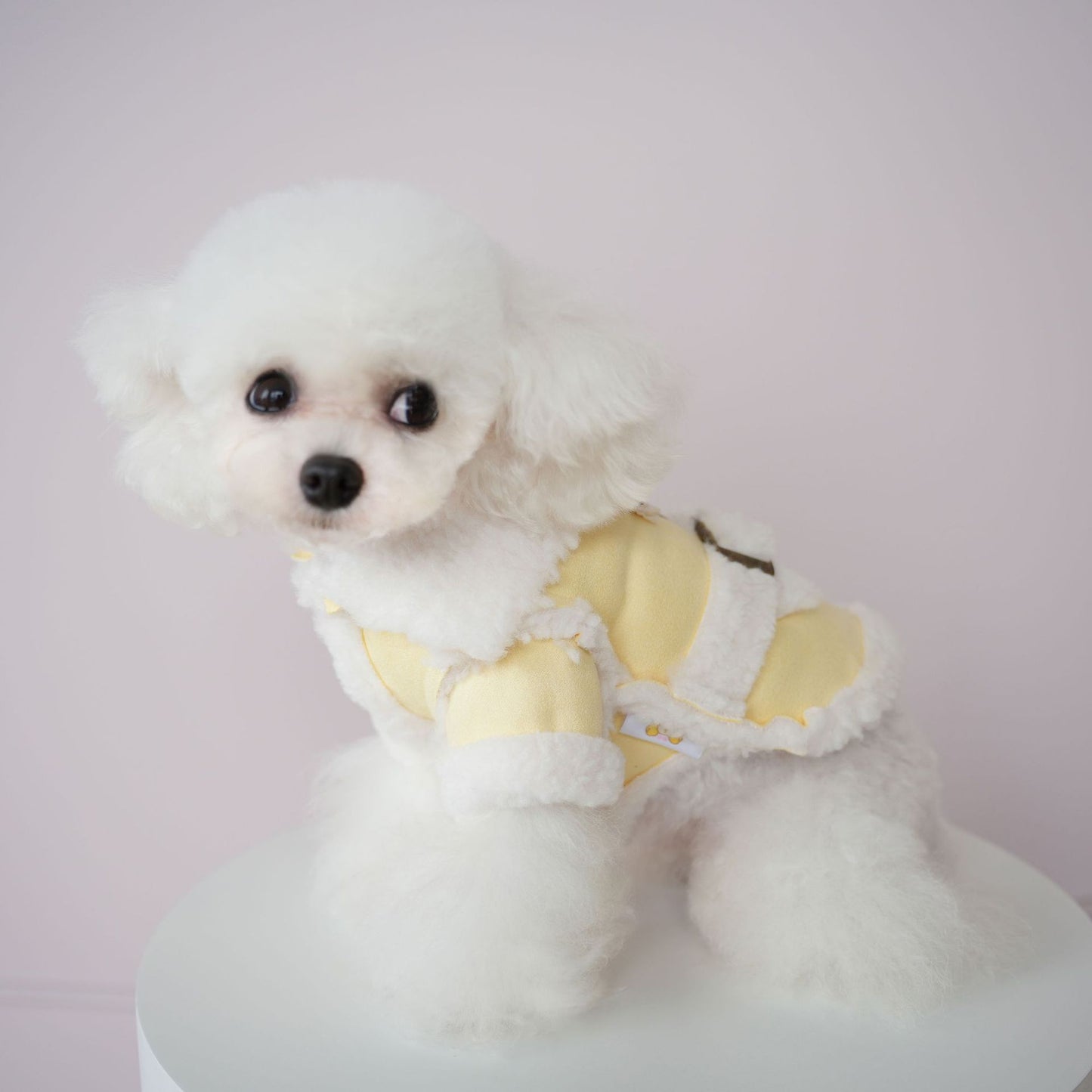 犬服新しいペットの服イミテーションスエードワンピースコットンコートソフト快適な冬のコートプードル二本足の服