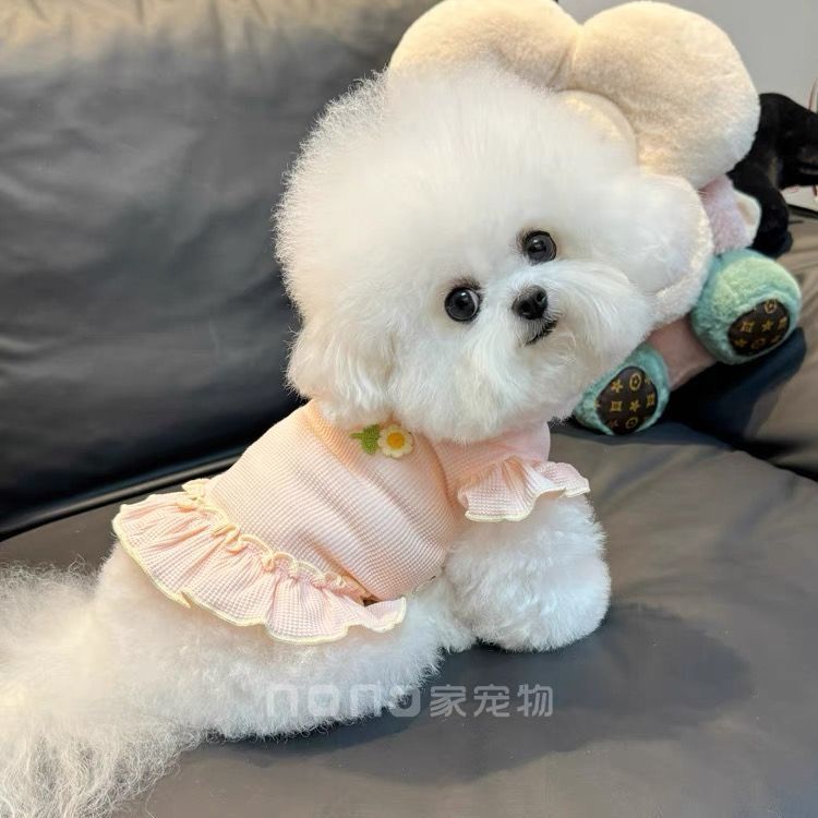ペット猫 テディ かわいい 通気性の良い服 ビションフリーゼ 犬服 春夏新作 ワッフル 犬 服 犬の服 犬 洋服 犬の服夏 犬洋服