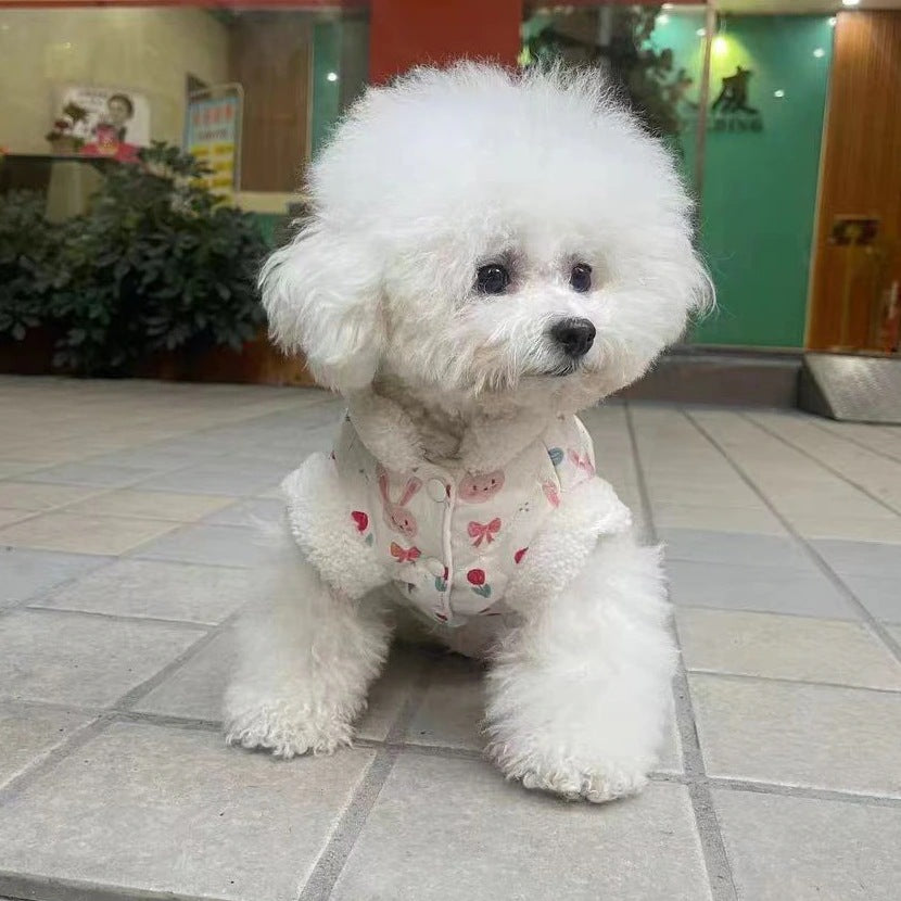 秋冬の犬服 テディボーミペットのコキシナレビーベア愛らしい 犬猫服秋冬服 パープル セーター 可愛らしい 暖かい野球服 冬アウター