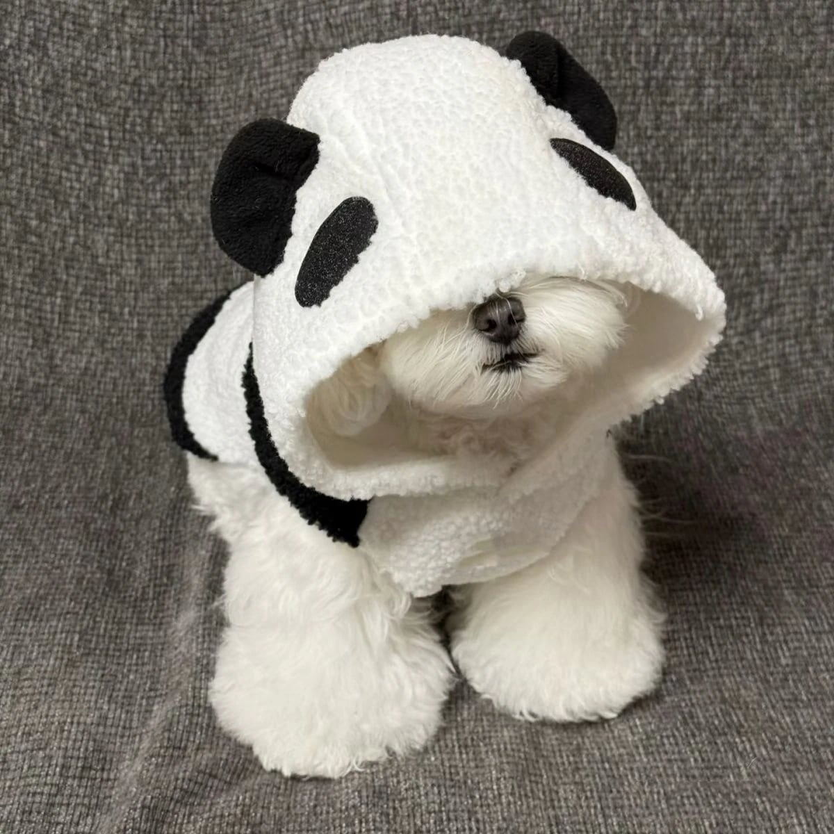 ペット子犬犬服秋冬モデル超かわいいパンダコートテディビションポメラニアン万能服犬 服 犬 犬の服 犬 洋服 犬の服夏 犬洋服