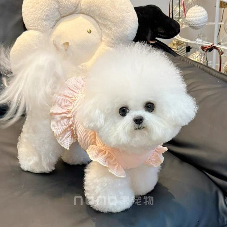 ペット猫 テディ かわいい 通気性の良い服 ビションフリーゼ 犬服 春夏新作 ワッフル 犬 服 犬の服 犬 洋服 犬の服夏 犬洋服