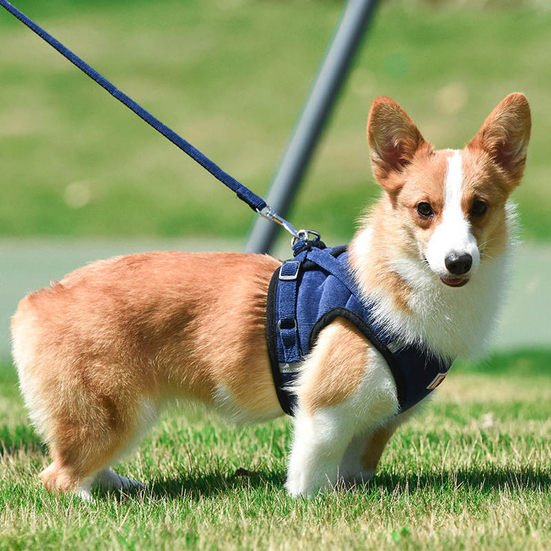 犬 小型犬中型犬 おしゃれな 苦しくない 高級秋冬物 4カラー 脱げない ハーネスリード