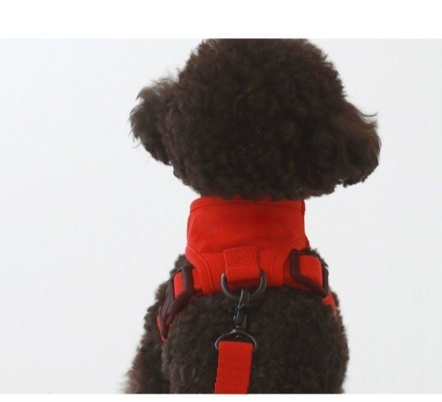 韓国版の中で小型の犬のテディは熊のコーキに比べて外出して犬を散歩します メガ割ワンピースパンツトートバッグ