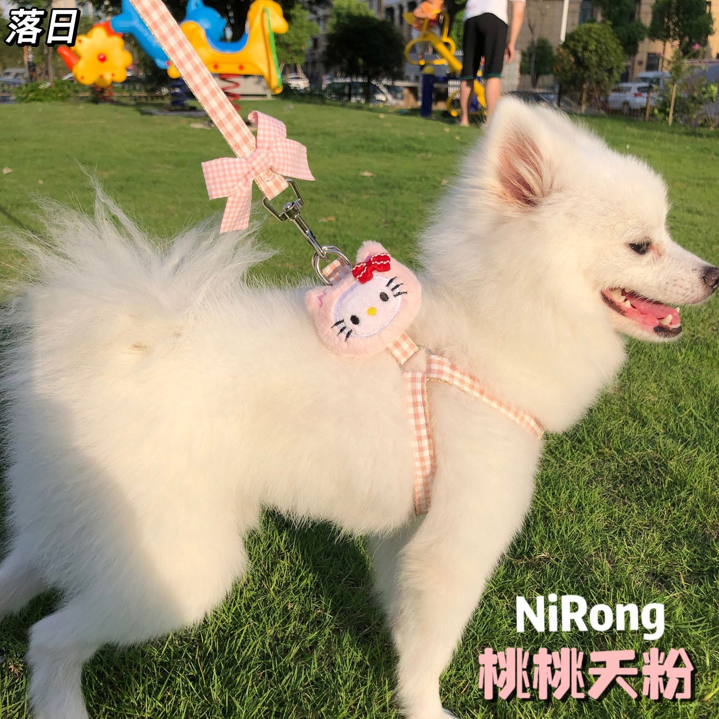 メガ割犬牽引ロープベスト式アニメ屋外散歩犬牽引ロープ小型中型犬犬チェーン犬ロープテディ博美973