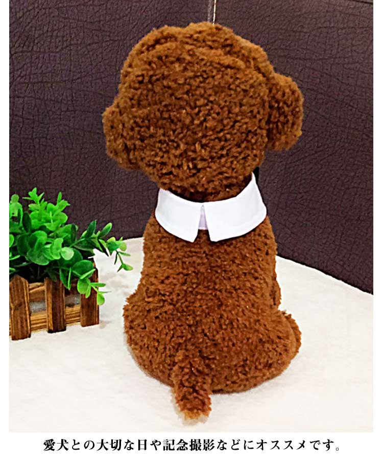 新作セール2サイズ展開 ボーダー ペット用 ネクタイ おしゃれ 全20種 首輪 犬用 ねこ 記念日 正装 写真撮影 アクセサリー 犬猫兼用 猫用 小型犬 中型犬 かわいい 子犬 チェック サイズ調整可
