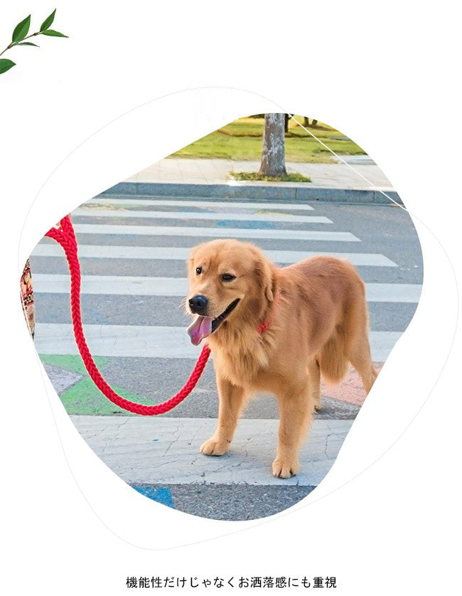 送 料 無 料!犬用 首輪 リード 2点セット 牽引ロープ ペット用品 大型犬 中型犬 牽引縄 セットアップ お洒落 ドッグウェア ハーネス 切り替え