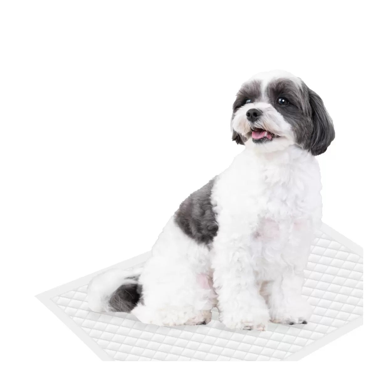300枚入り サノテック ペットシーツ レギュラー 大容量 犬用品 ワンちゃんトイレ用品 おしっこ1回交換用 約33×45cm 清潔 ペット用品 たっぷり使える コストコ 直送品
