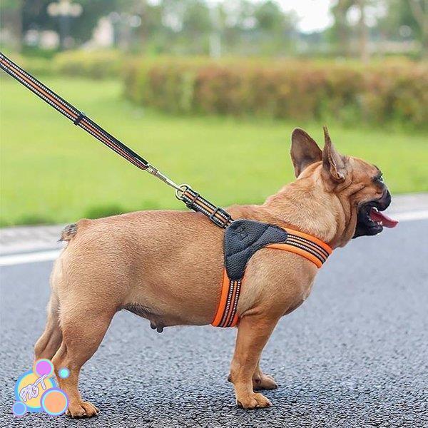 ハーネス 犬 おしゃれ 小型犬 大型犬 中型犬 犬のハーネスリード 脱げない 発光バンド 散歩 首輪 ペット用品