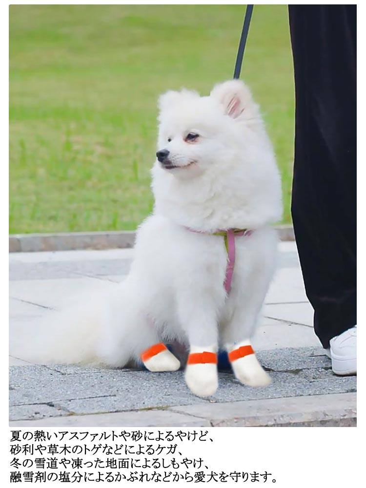 限定販売足元の汚れ防止 【80枚入】犬 ドッグブーツ 使い捨て 40足 【80枚入】犬 犬用靴下 犬用靴 肉球保護 靴 柔らかい 通気性 不織布 猫用 軽い フットカバー 犬靴下 ペット 滑り止め 靴
