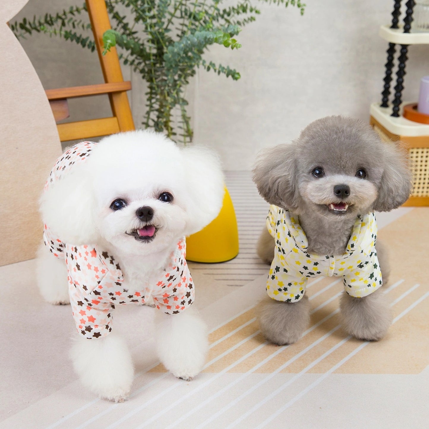人気犬の服ペットの服小型犬猫は秋と冬に着用することができます暖かく快適な小さな五つ星の四つ足の綿のコート