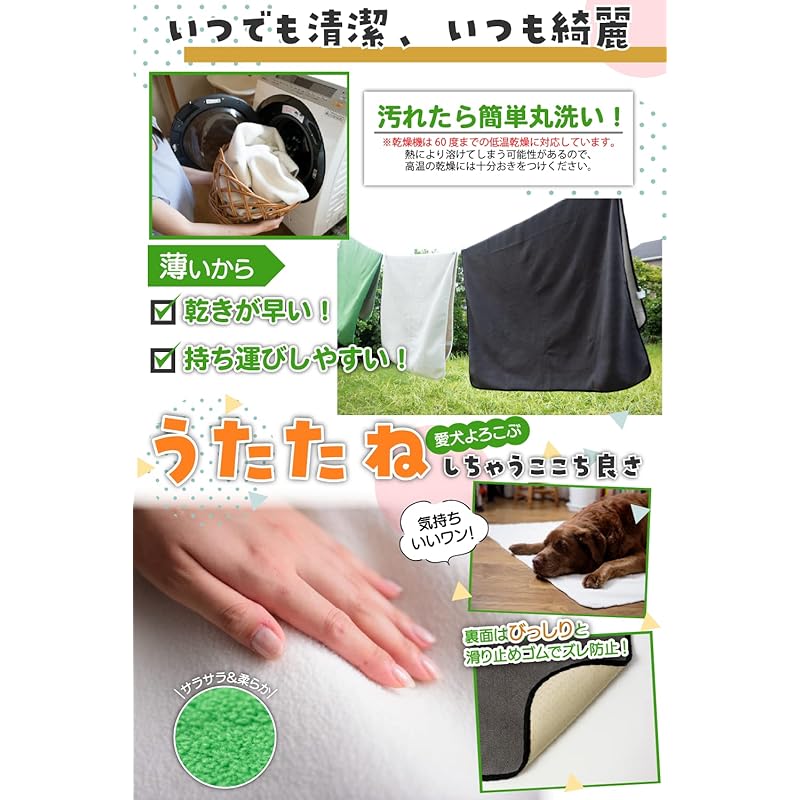【即納】INULABO(イヌラボ) 洗える ペットシーツ 特大 おしっこマット 防水 床保護 ペットマット 丸ごと洗える 【わんこが思いっきり遊べる】 (165×122cm(1枚), グリーン)