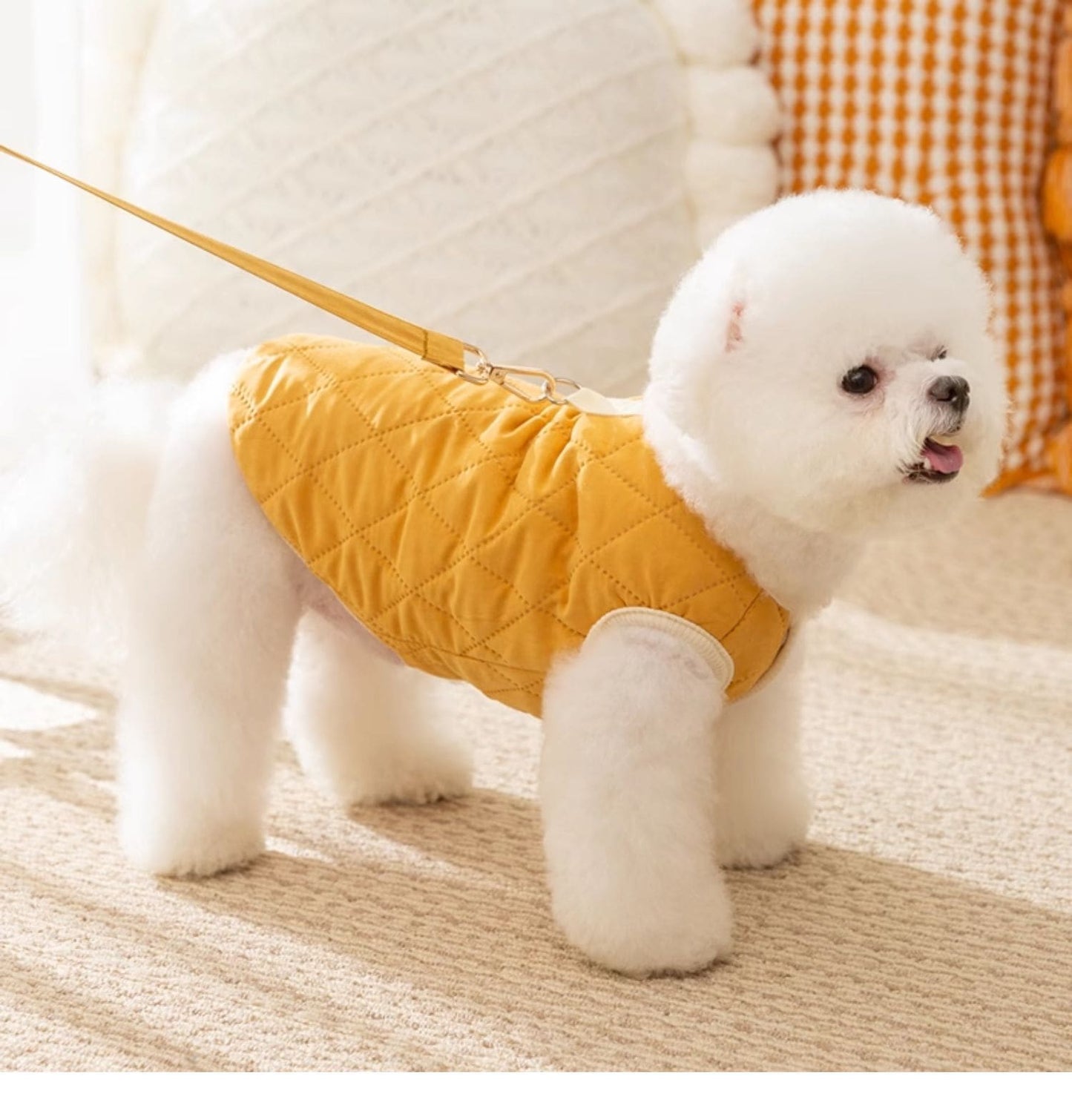犬服 防寒着 ペット 厚手 無地 コットン 牽引可能 子犬用 猫 洋服 秋冬物