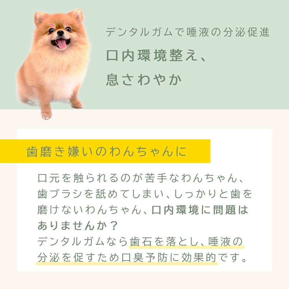 <a href="https://www.qoo10.jp/gmkt.inc/Search/brand.aspx?brandno=60969" target="_blank" class="title_brand" id="btn_brand" title="ガム">ガム</a>犬用おやつ デンタルスティック 国産 無添加 200本 (50本4袋) ペット はみがき 犬用 おやつ 着色料不使用 保存料不使用 小型犬 中型犬 大型犬