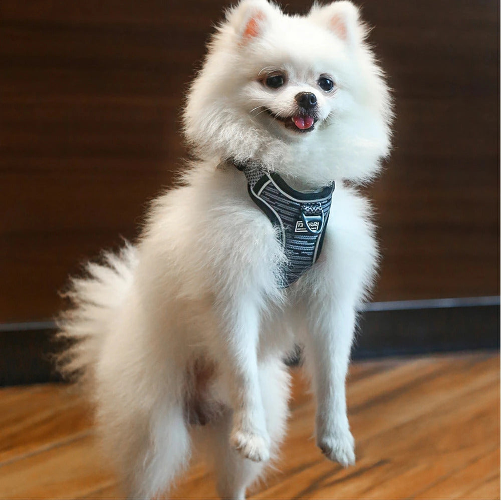 すぐに発送可能 ハーネス 犬用ハーネス リード 犬用リード お散歩リード お散歩 お洒落リード スタイリッシュ ワンタッチ ベスト 犬 イヌ 小型犬 中型犬 反射テープ サイズ展開豊富 カラー展開豊