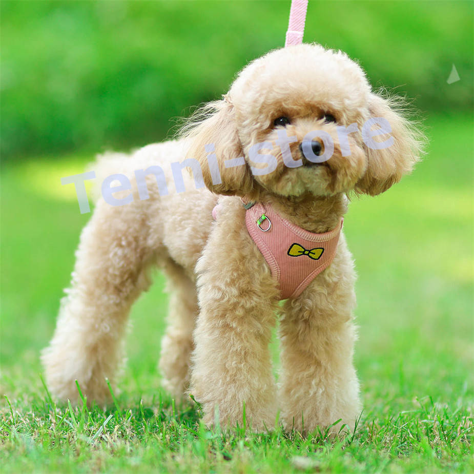 今週の新製品 タイムセール 犬 猫 ハーネス 小型犬 中型犬 猫用 ネコ 柔らかい 軽量 可愛いリボン刺繍ウェアハーネス ハーネス&リードセット 犬ハーネス 抜けない 一体型 在庫が限られている在庫が