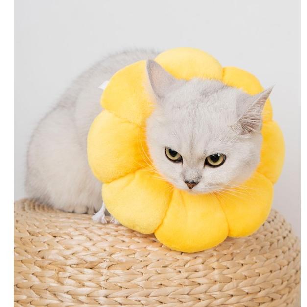 術後服 嫌がる 犬用カラー ペット用ソフトエリザベスカラー 猫 おしゃれ ソフト 犬 エリザベスカラー カラフル
