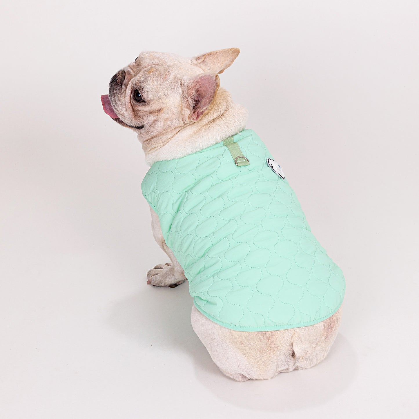 人気ペット服 犬の服 ペットの服 秋冬 ブルドッグモデル ブルドッグ 4色 コットンベスト