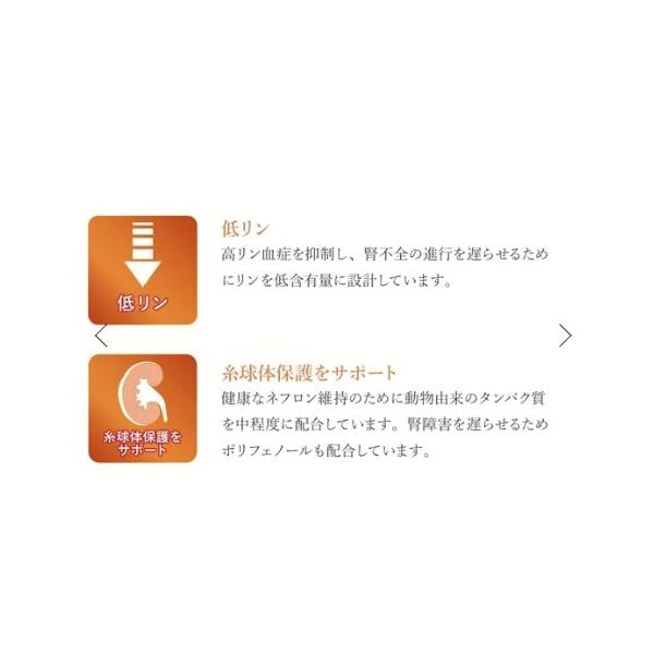 VetSolution ベッツソリューション 犬用 腎臓&シュウ酸塩サポート 3.0kg ドッグフード 犬 餌 療養食 尿毒症 尿炎 Monge