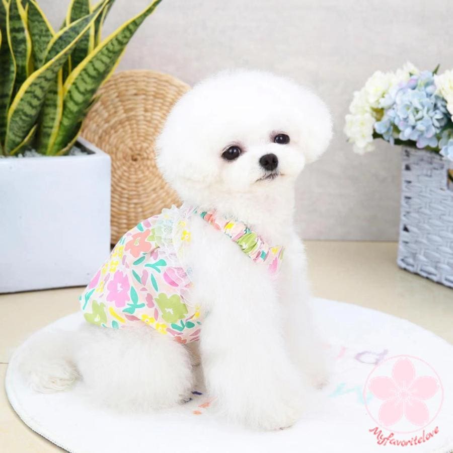 新入荷 ペット 服 安い 犬 春 夏 花 柄 ワンピース かわいい 可愛い ハイブランド 猫 ドッグ ウェア