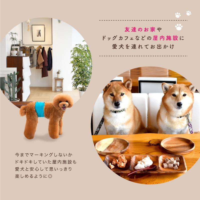 オシッコ失敗 犬用マナーベルト マーキング防止 しつけ 犬用オムツカバー おしっこ失敗 犬用おむつカバートイレ シンプル 犬用マナーバンド