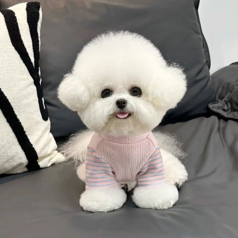 かわいい 猫 犬の服 秋冬物 新しいスタイル ビションフリーゼ テディ シュナウザー ペット用あったかボトムシャツ ホームウェア 犬 服 犬の服 犬 洋服 犬の服夏 犬洋服