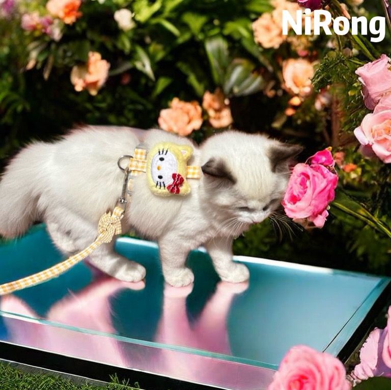 メガ割日系かわいい蝶ネクタイ猫牽引ロープウサギ首輪猫チェーン工字型散歩ロープは外出を調節できる914