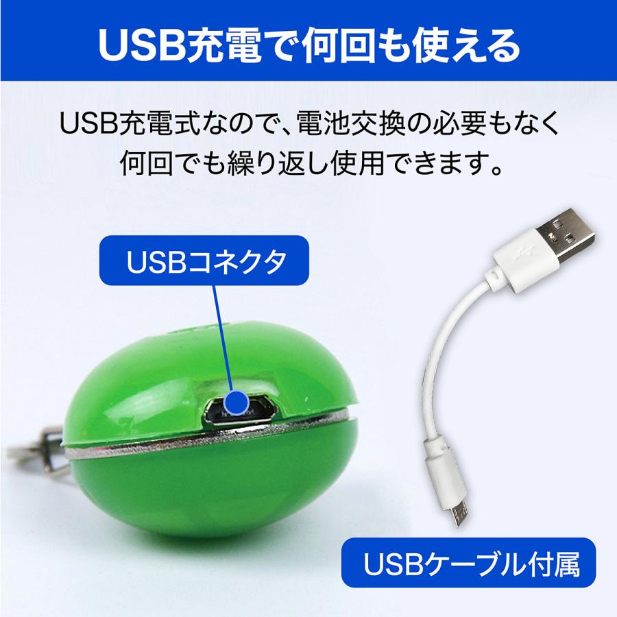首輪 光る LED ライト 光る首輪 ペンダント 充電式 USB 犬 ランニング ウォーキング 散歩