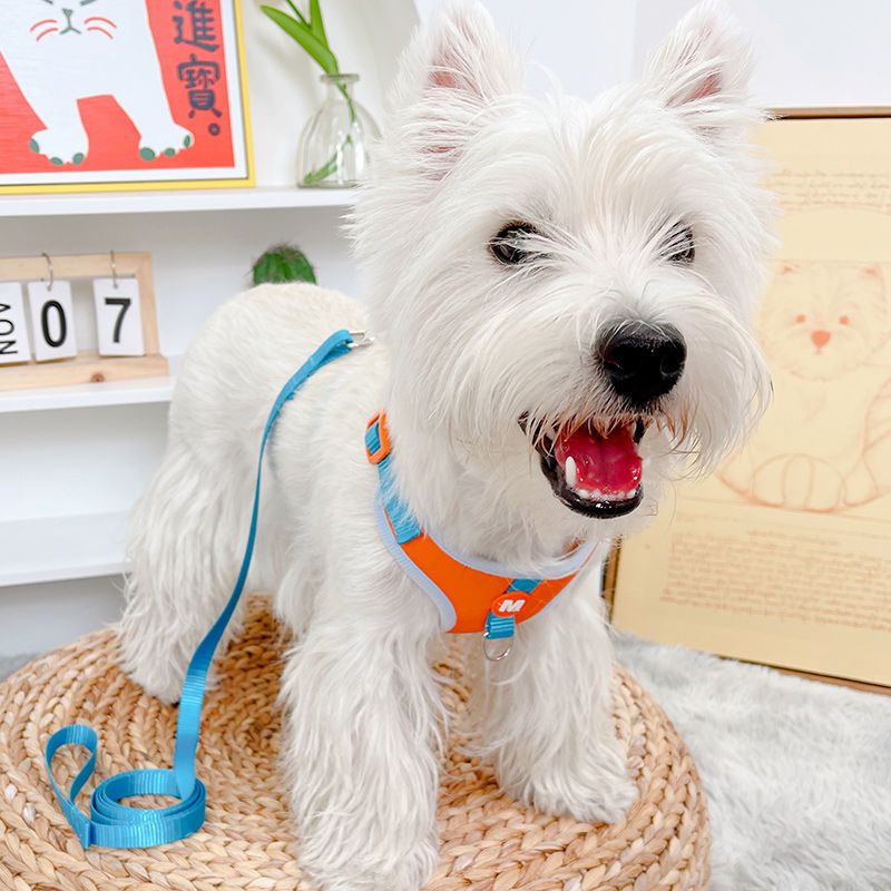 犬のひも猫のひもは猫のひもを散歩します メガ割ワンピースパンツトートバッグ