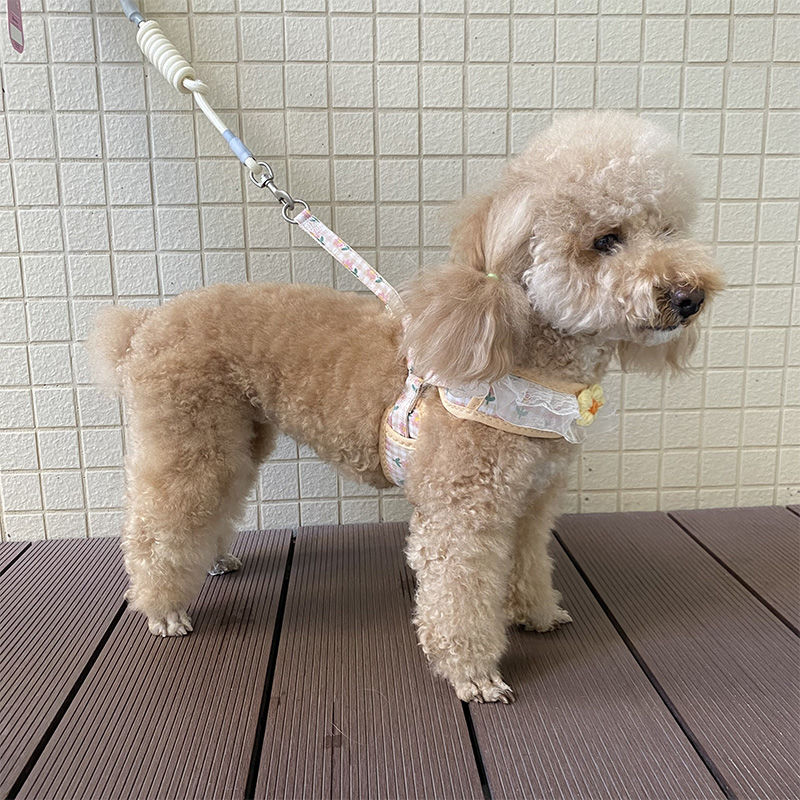 犬の牽引紐レースの胸の帯のテディ比熊の小型犬の牽引犬の縄は犬のひもの犬のチェーンを散歩します