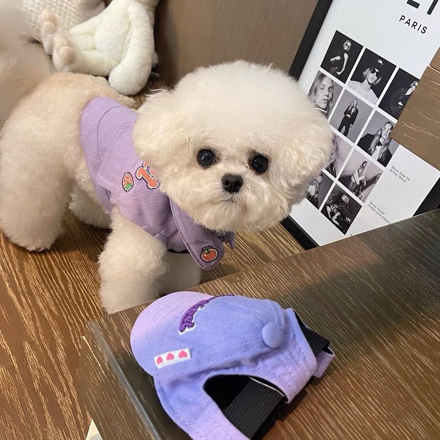 【6989人コレクション】ネットレッド犬服春秋タイプペット子犬テディ比熊雪納瑞小型犬デニム