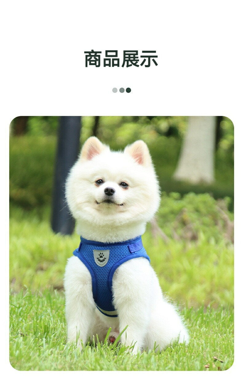 人気商品 さ犬用 ハーネス メッシュ 胴輪 反射テープ付き リード セット 超小型犬 小型犬 子犬 猫 散歩 訓練 出掛 ペット はーねす 安全 抜けない 軽量 調節可能さ犬用 ハーネスさ犬用 ハーネ