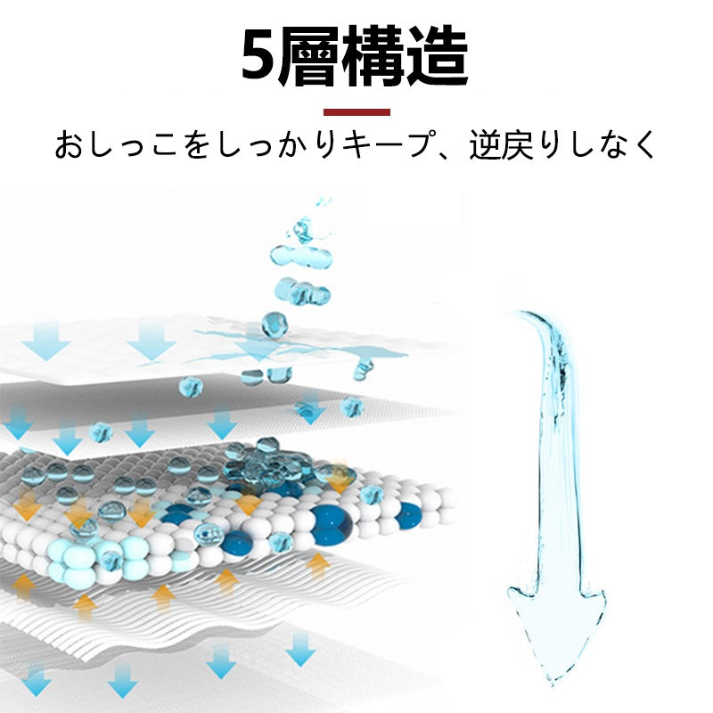 <a href="https://www.qoo10.jp/gmkt.inc/Search/brand.aspx?brandno=109151" target="_blank" class="title_brand" id="btn_brand" title="Honeycare">Honeycare</a>ペットシーツ 超薄型 ペットシート犬猫 サイズ選択可 レギュラー800枚 ワイド400枚 スーパーワイド200枚