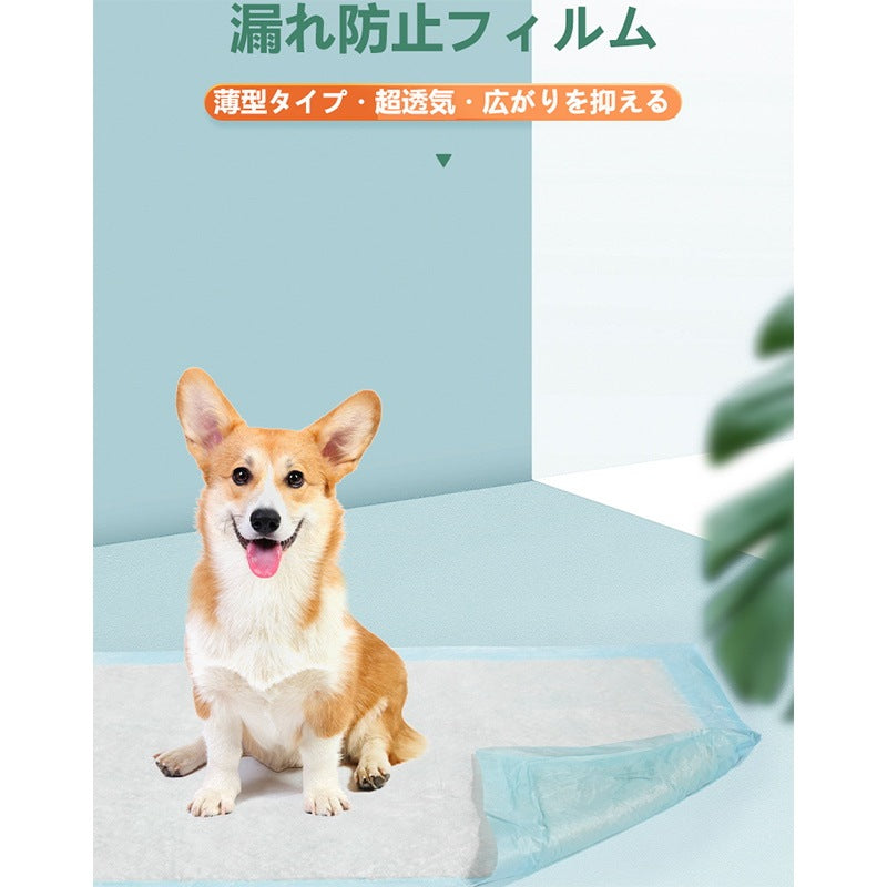 <a href="https://www.qoo10.jp/gmkt.inc/Search/brand.aspx?brandno=109151" target="_blank" class="title_brand" id="btn_brand" title="Honeycare">Honeycare</a>ペットシーツ 薄型 ペットシート 犬猫 サイズ選択可 レギュラー 800枚 ケース販売