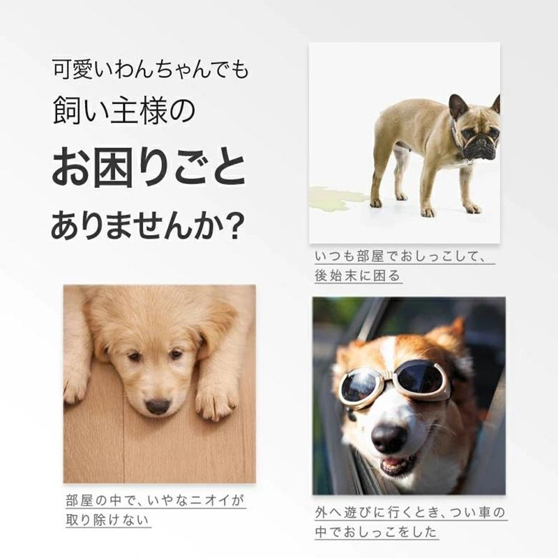 <a href="https://www.qoo10.jp/gmkt.inc/Search/brand.aspx?brandno=109151" target="_blank" class="title_brand" id="btn_brand" title="Honeycare">Honeycare</a>ペットシーツ 中厚型 ペットシート厚型 サイズ選択可 レギュラー ワイド スーパーワイド ヒノキの香り付き 香りの選択