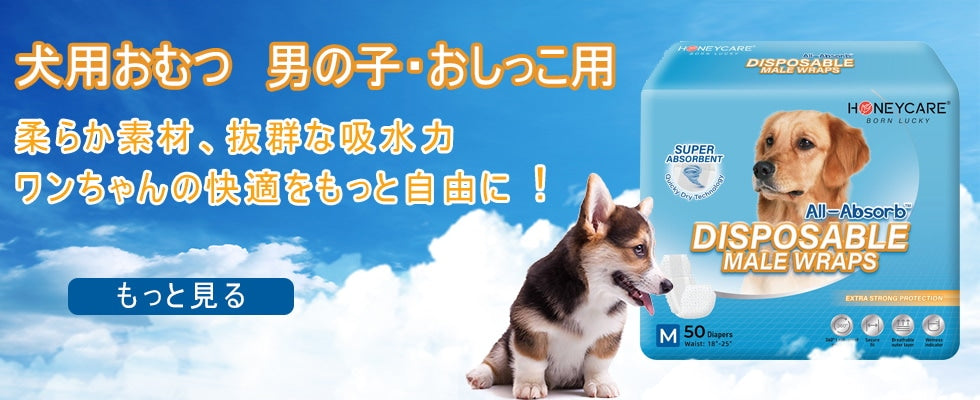 <a href="https://www.qoo10.jp/gmkt.inc/Search/brand.aspx?brandno=109151" target="_blank" class="title_brand" id="btn_brand" title="Honeycare">Honeycare</a>ペットシーツ 薄型 中厚型 厚型 おしっこシーツ トイレシートサイズ選択可 1ケースレギュラー480枚 ワイド 240枚スーパーワイド120枚 炭入り 犬猫 消臭 多頭飼い 1回使い捨て