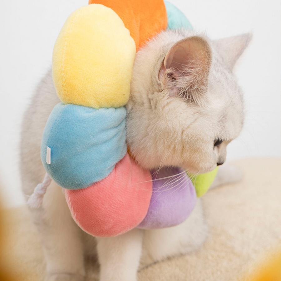 術後服 嫌がる 犬用カラー ペット用ソフトエリザベスカラー 猫 おしゃれ ソフト 犬 エリザベスカラー カラフル
